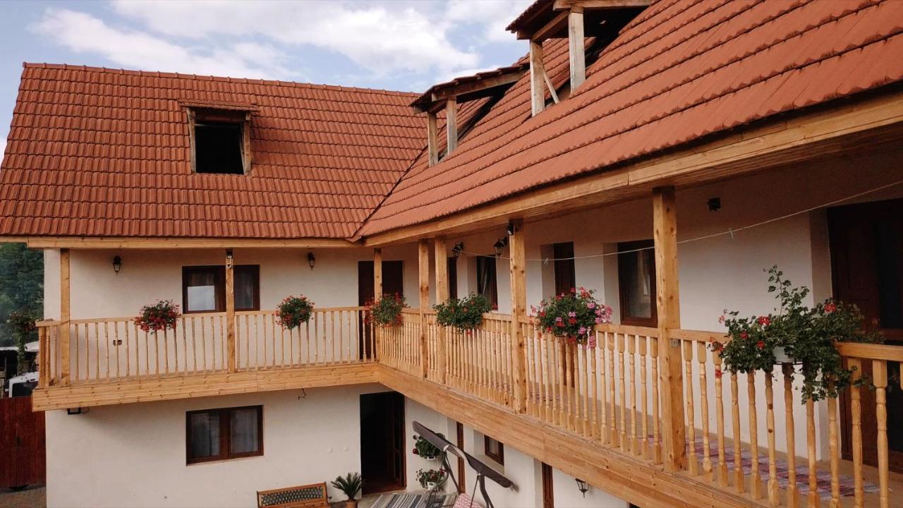 Casa Brutarului Crit酒店 外观 照片