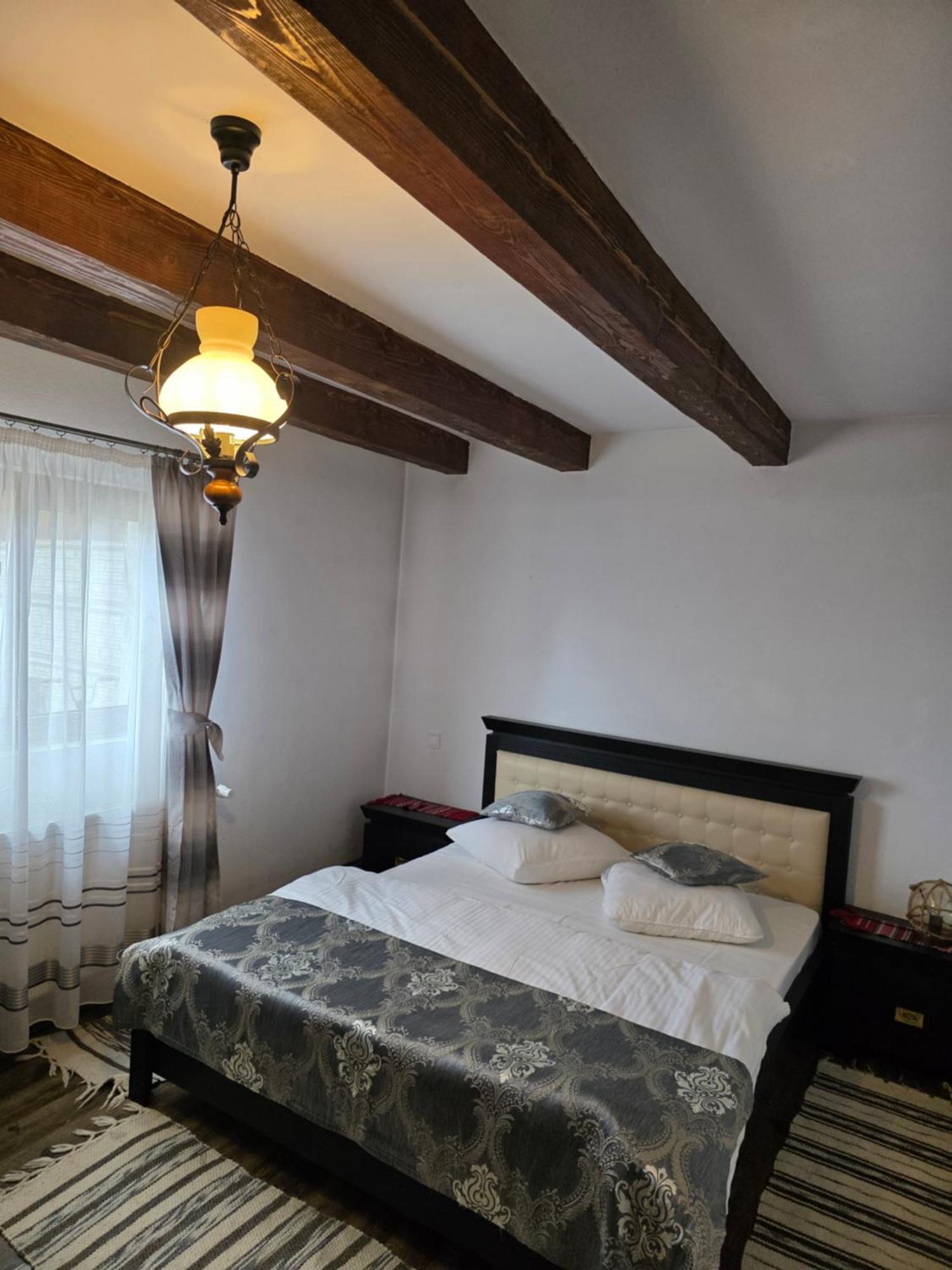 Casa Brutarului Crit酒店 外观 照片